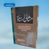 Misali ustaad مثالی استاذ