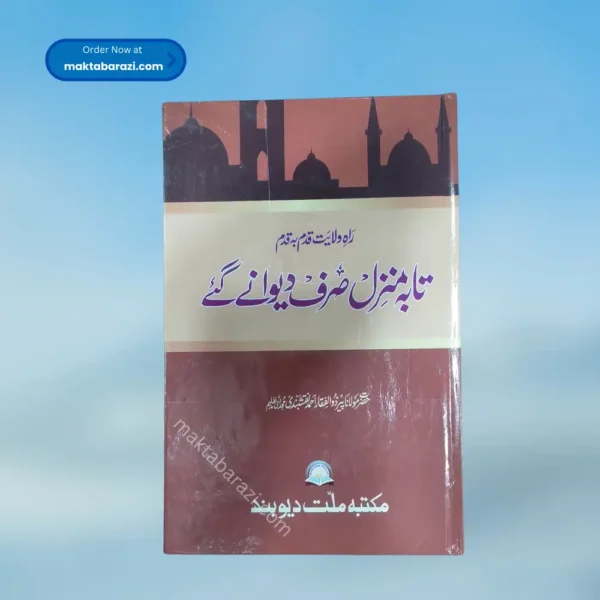 Raah-e-Wilayat Qadam Ba Qadam Ta Ba Manzil Sirf Dewane Gaye راہِ ولایت قدم بقدم تا بم منزل صرف دیوانے گئے