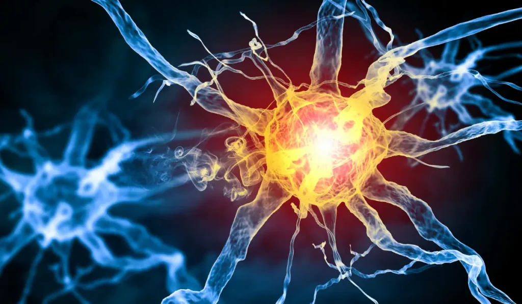 pain receptors quran