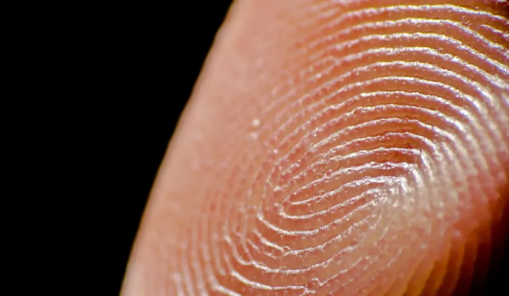 Fingerprint uniqueness quran