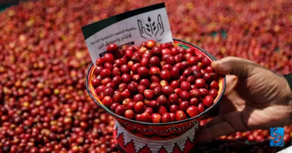 Coffee – 9th Century Yemen